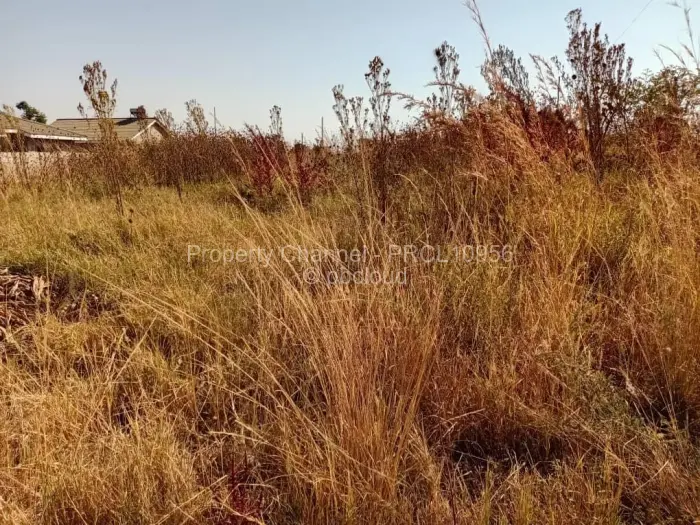 Stand for Sale in Haydon Park, Mazowe