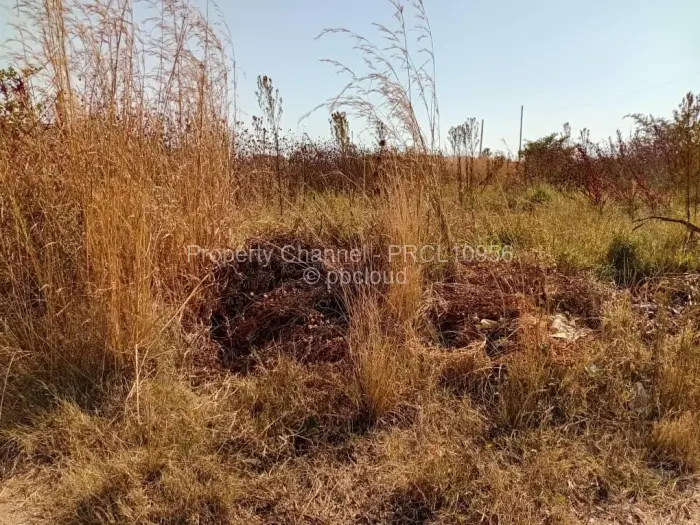 Stand for Sale in Haydon Park, Mazowe