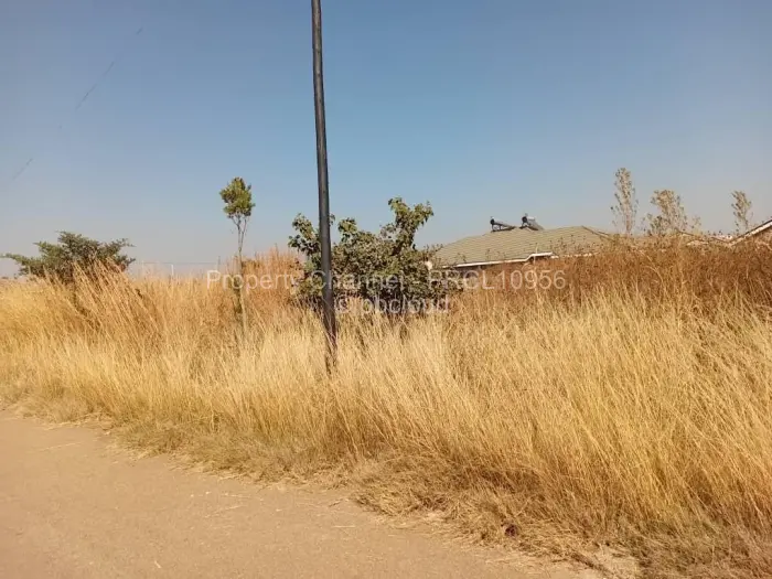 Stand for Sale in Haydon Park, Mazowe