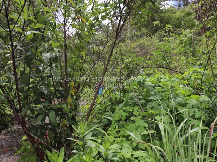 Residential Stand for Sale in Helensvale, Harare