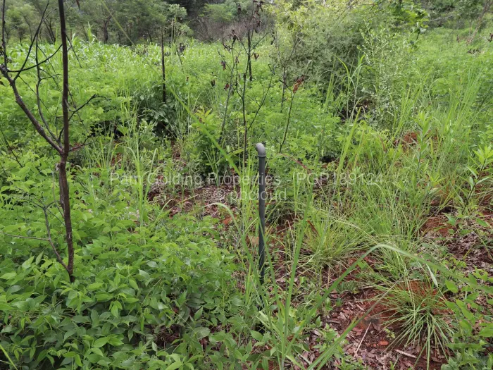 Residential Stand for Sale in Helensvale, Harare