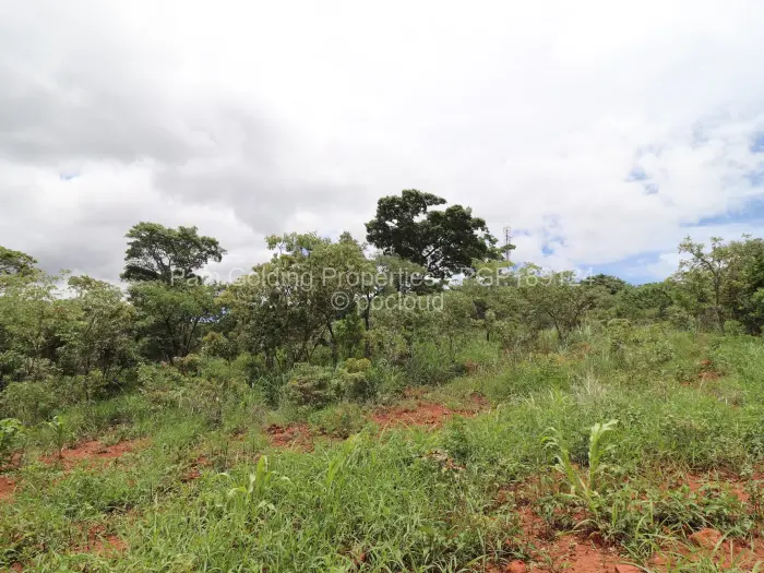 Residential Stand for Sale in Helensvale, Harare