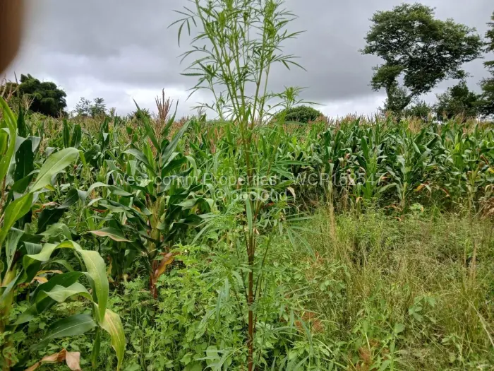 Farm/Plot for Sale in Marondera, Marondera