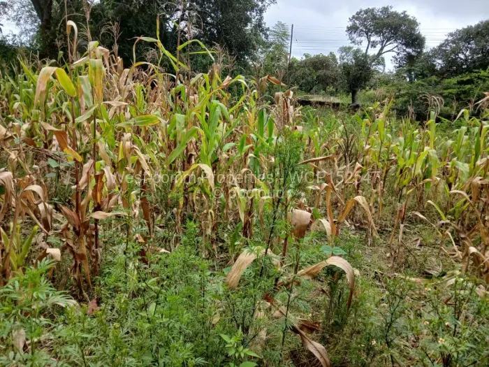 Farm/Plot for Sale in Marondera, Marondera