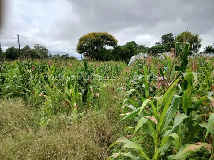 Farm/Plot for Sale in Marondera, Marondera