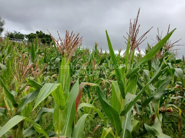Farm/Plot for Sale in Marondera, Marondera