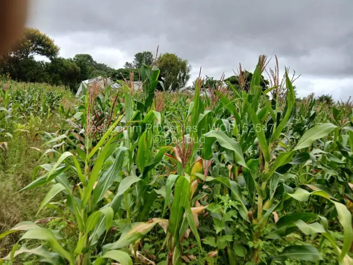 Farm/Plot for Sale in Marondera, Marondera