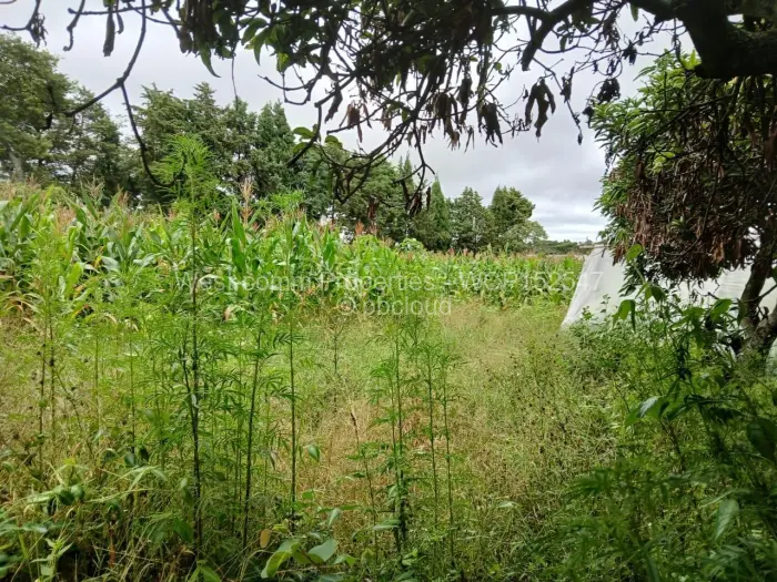 Farm/Plot for Sale in Marondera, Marondera