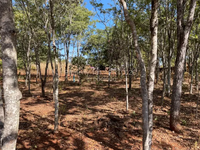 Stand for Sale in Brookeview, Harare
