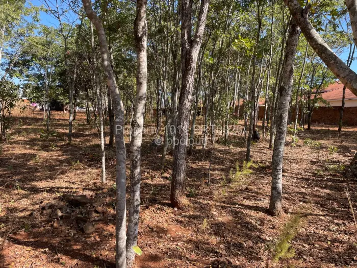 Stand for Sale in Brookeview, Harare