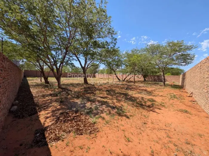 Stand for Sale in Victoria Falls, Victoria Falls