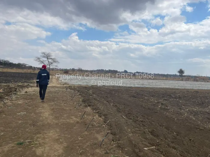 Farm/Plot for Sale in Galloway, Norton