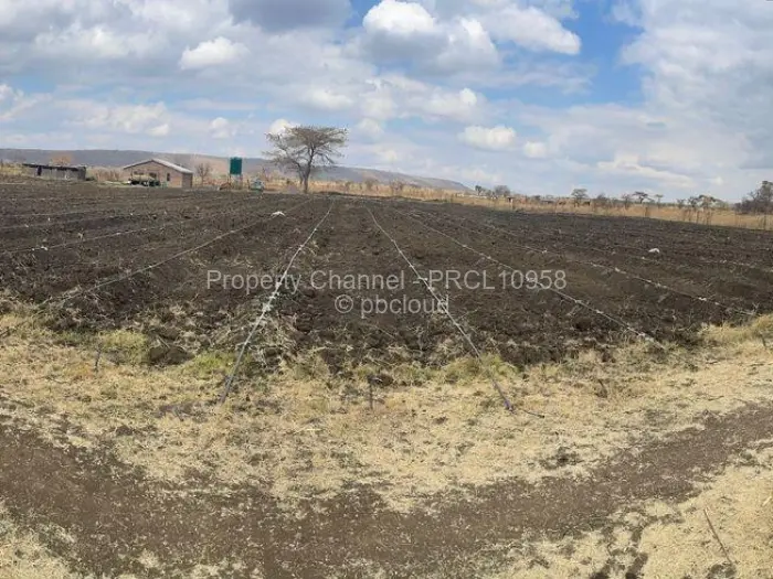 Farm/Plot for Sale in Galloway, Norton