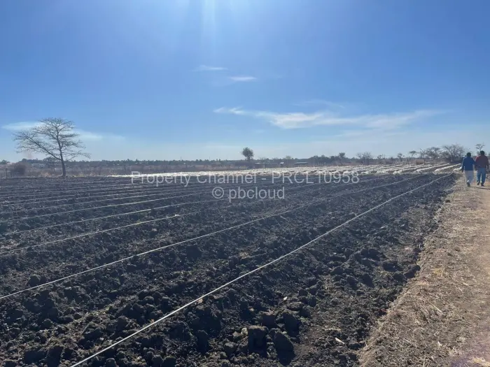 Farm/Plot for Sale in Galloway, Norton