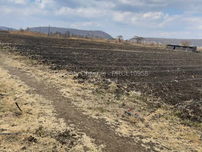 Farm/Plot for Sale in Galloway, Norton