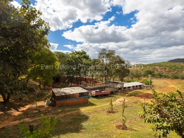 Farm/Plot for Sale in Cromlet, Arcturus