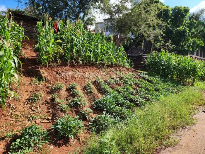 Residential Stand for Sale in Pomona, Harare