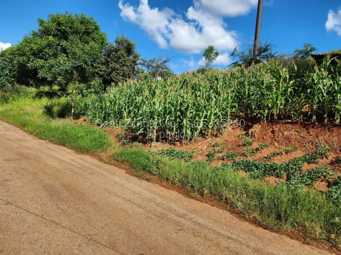 Residential Stand for Sale in Pomona, Harare