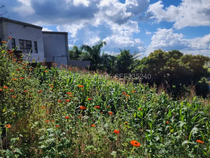 Residential Stand for Sale in Pomona, Harare