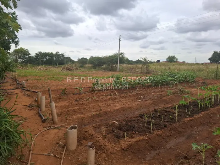 3 Bedroom House for Sale in Upper Rangemore, Bulawayo