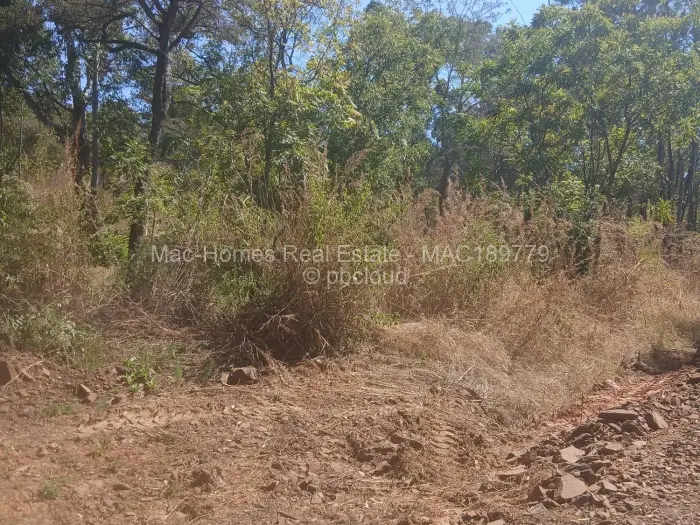 Stand for Sale in Carrick Creagh Estate, Harare