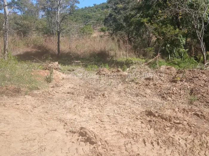 Stand for Sale in Carrick Creagh Estate, Harare