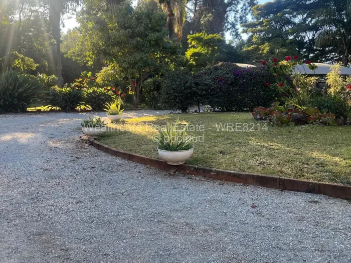 Commercial Property to Rent in Greendale