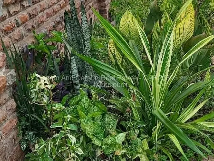 2 Bedroom House to Rent in Bindura, Bindura