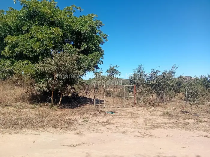 Land for Sale in Marondera