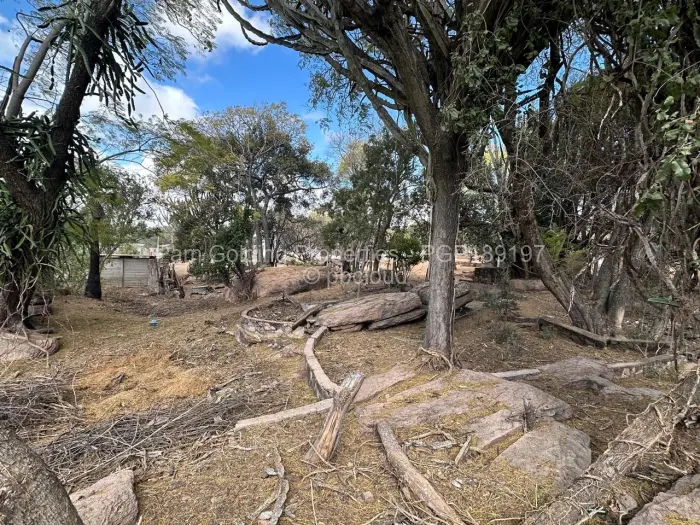 Commercial Stand for Sale in Burnside, Bulawayo