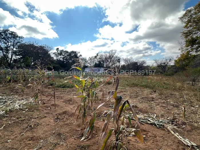 Commercial Stand for Sale in Burnside, Bulawayo