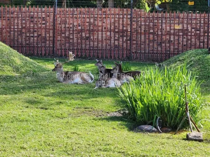 Flat/Apartment for Sale in Johannesburg CBD, Johannesburg