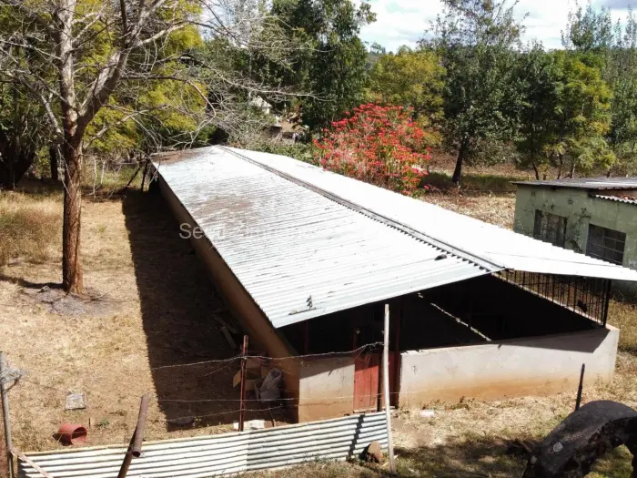 Farm/Plot for Sale in Christon Bank, Christon Bank