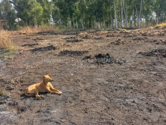 Residential Stand for Sale in Norton, Norton