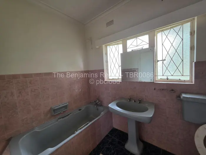 Commercial Property to Rent in Alexandra Park