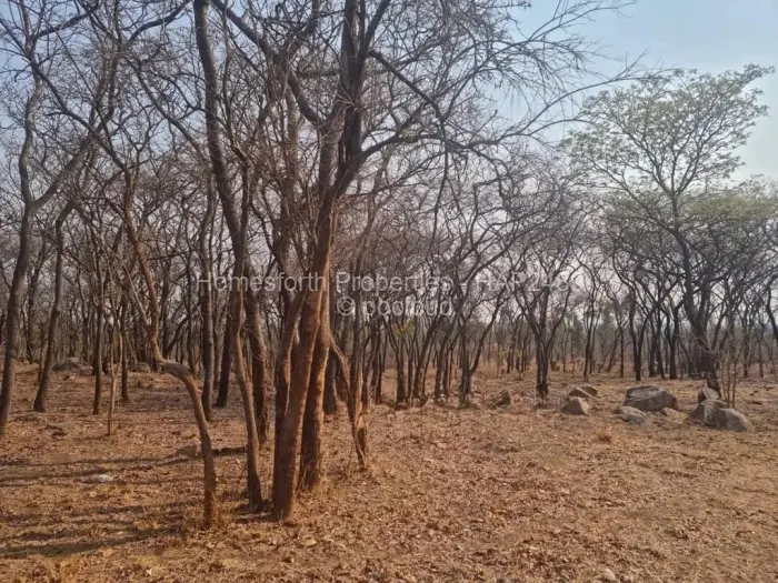Farm/Plot for Sale in Selous, Selous