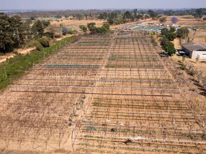 Farm/Plot for Sale in Ruwa, Ruwa