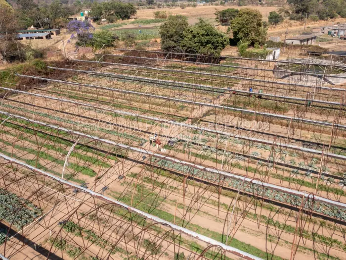 Farm/Plot for Sale in Ruwa, Ruwa