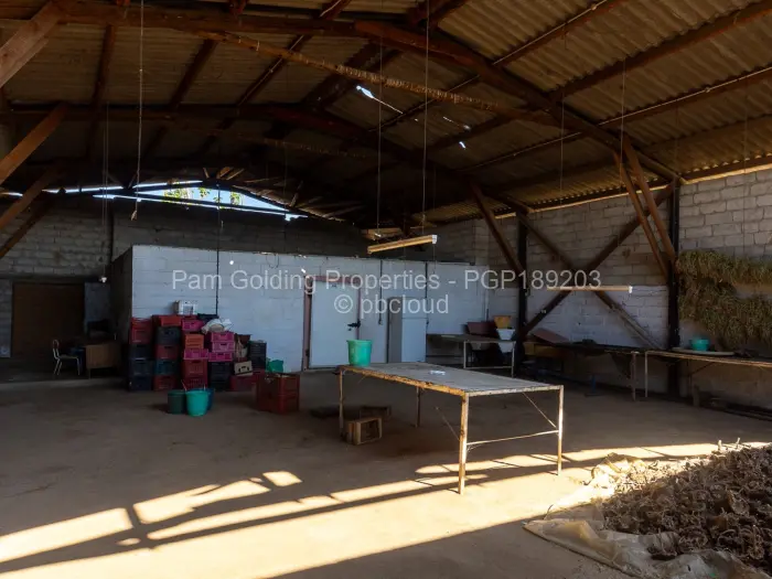 Farm/Plot for Sale in Ruwa, Ruwa