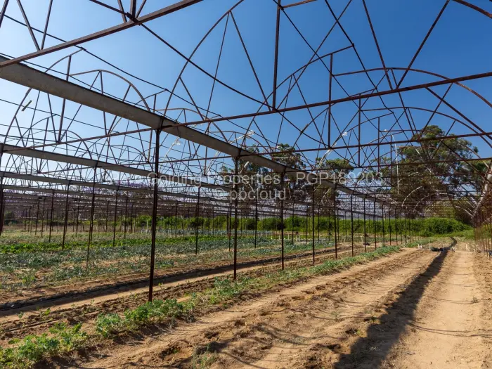 Farm/Plot for Sale in Ruwa, Ruwa