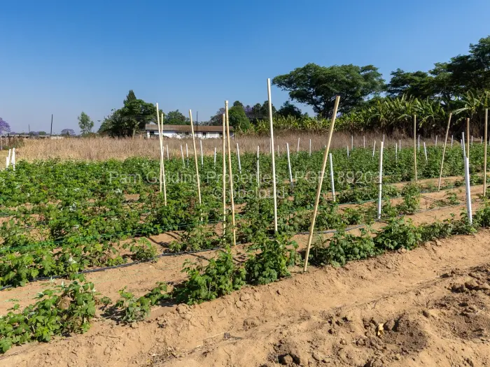 Farm/Plot for Sale in Ruwa, Ruwa