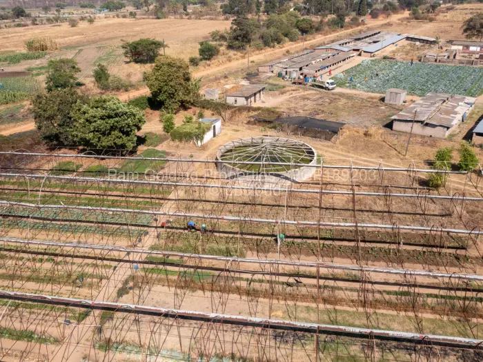 Farm/Plot for Sale in Ruwa, Ruwa