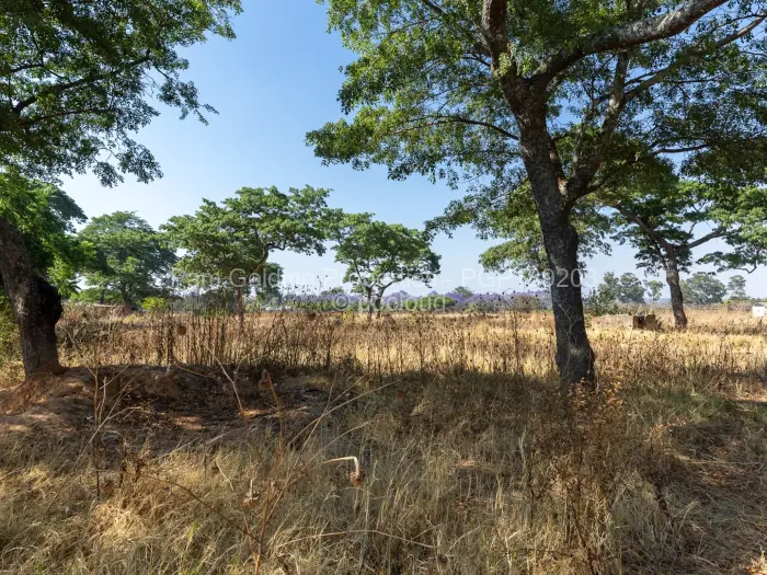 Farm/Plot for Sale in Ruwa, Ruwa