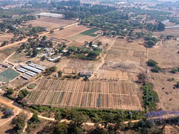 Farm/Plot for Sale in Ruwa, Ruwa