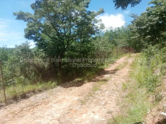 Commercial Stand for Sale in Juliasdale, Juliasdale
