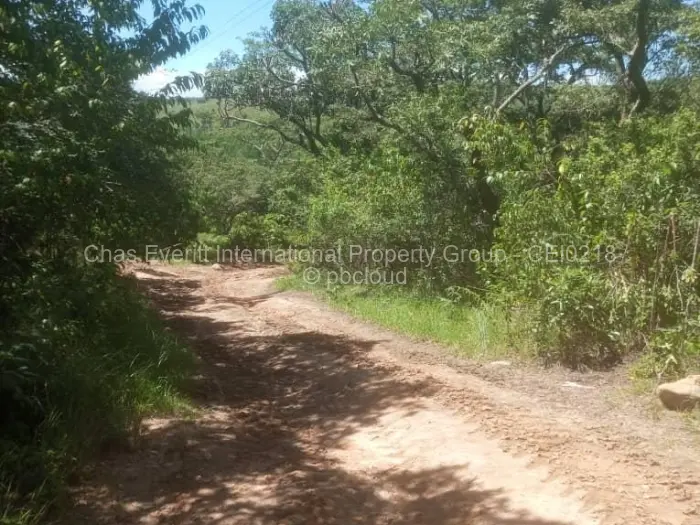 Commercial Stand for Sale in Juliasdale, Juliasdale