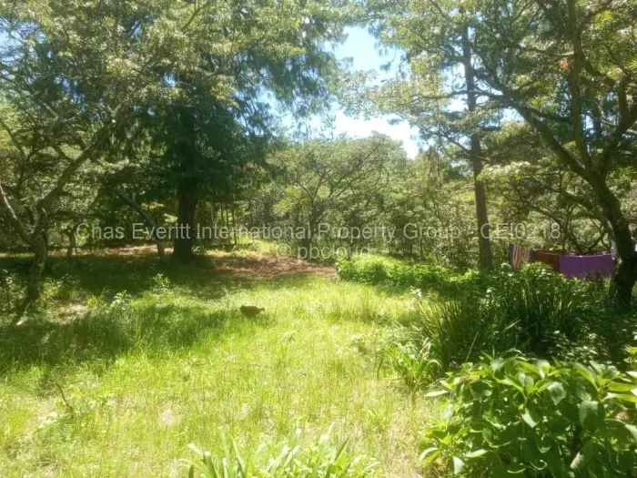 Commercial Stand for Sale in Juliasdale, Juliasdale