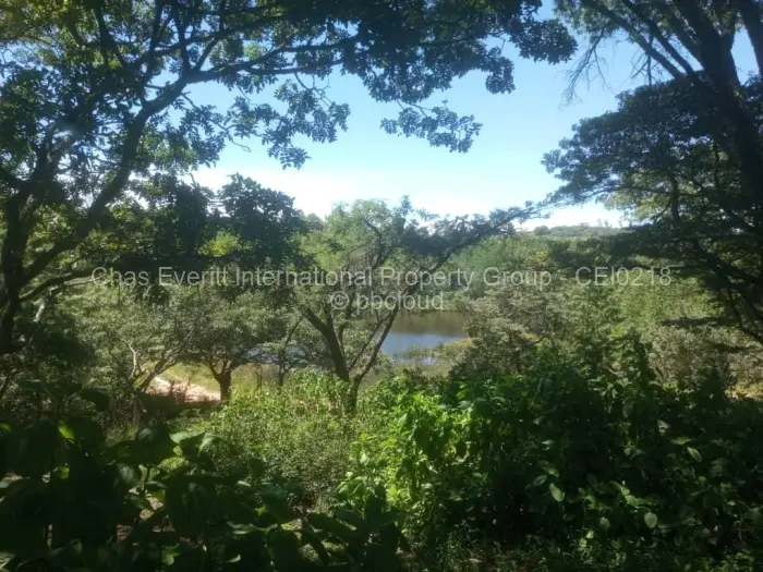 Commercial Stand for Sale in Juliasdale, Juliasdale