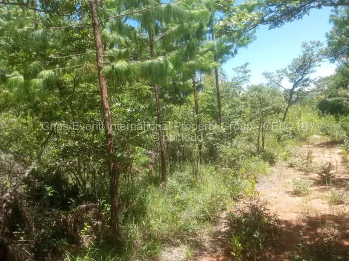 Commercial Stand for Sale in Juliasdale, Juliasdale