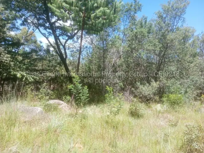 Commercial Stand for Sale in Juliasdale, Juliasdale